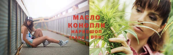 крисы Снежногорск