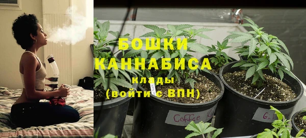 дживик Баксан
