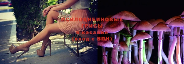 хмурый Снежинск